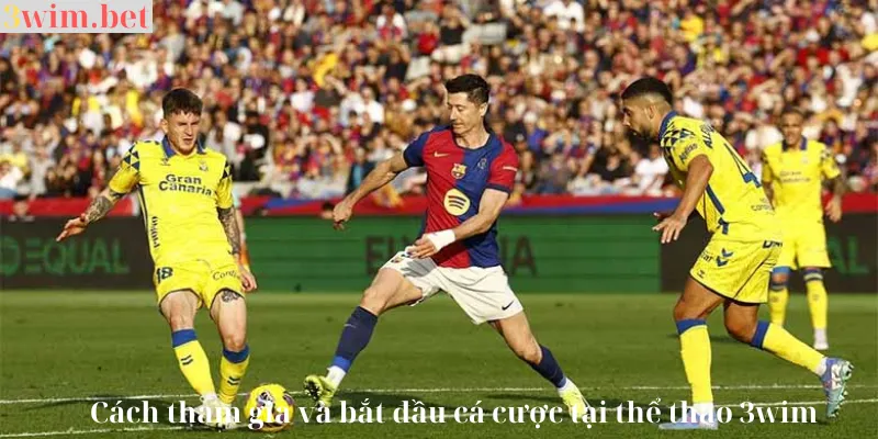 cách chơi thể thao 3wim