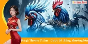 Đá gà Thomo 3Wim cược dễ thắng lớn