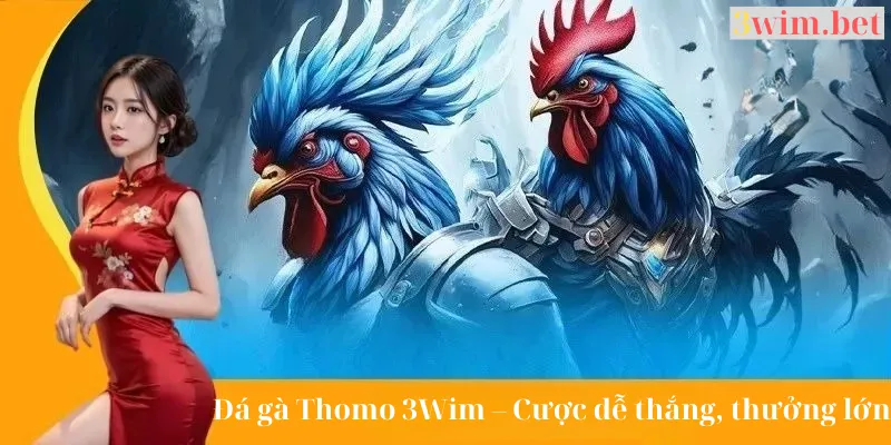 Đá gà Thomo 3Wim cược dễ thắng lớn